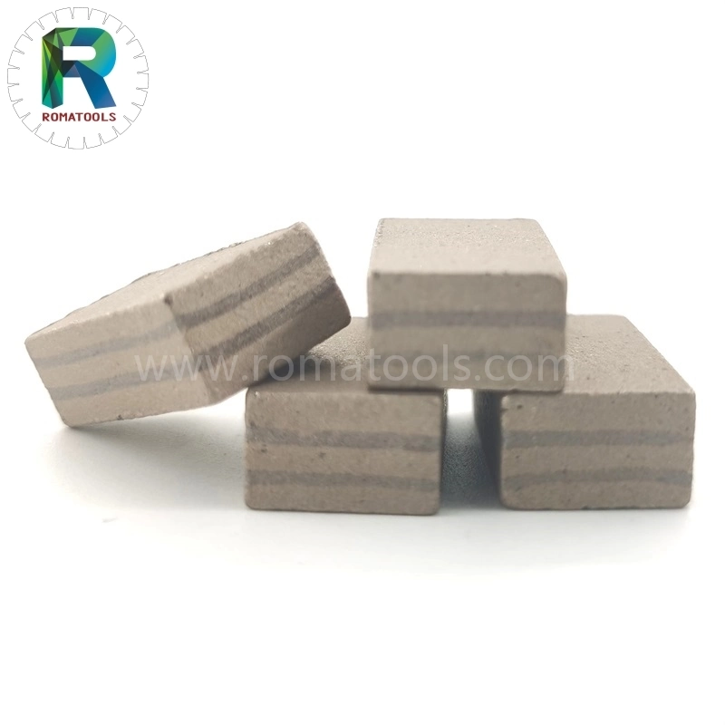 Romatools New Formula Diamond Segments Machine Marble Cutting Diamond Segment 24X8X13 mm for D900mm